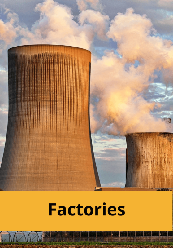 Factories Test and tag kiwi